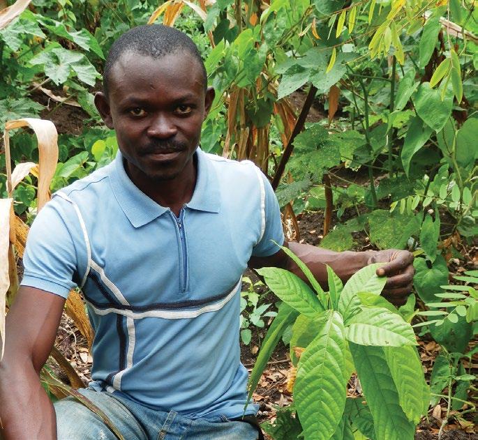 Blommer - Ecom Sustainability Partnership - In 2013, Blommer in partnership with Ecom Agroindustrial Corporation, launched a new farmer program in Côte d Ivoire.