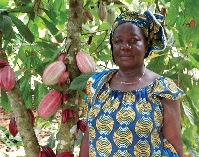 inspirations in sustainability Having the responsibility of managing a large cocoa farm that she had inherited from her father, Madame Sopi decided to attend the farmer field school sponsored by