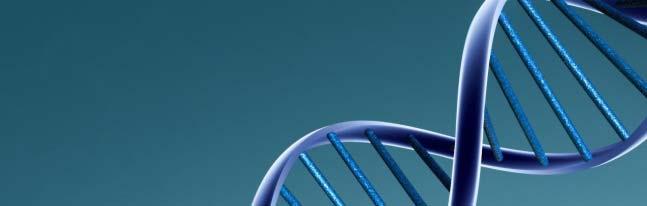 work and marketing activities Our DNA laboratory is a