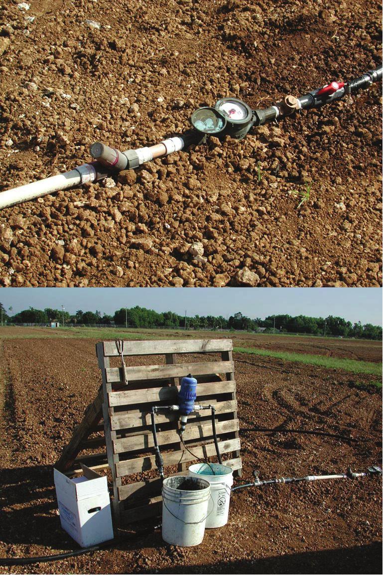 objectives were to (1) describe the shape of the wetted zone for several water volumes applied through drip irrigation, (2) determine vertical, lateral and longitudinal movements of irrigation water