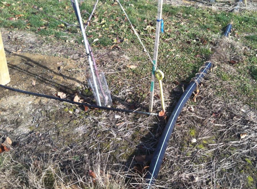 Orchard Tubing Water can be hooked up on surface temporarily