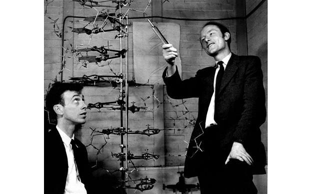 James Watson and Francis Crick 1953