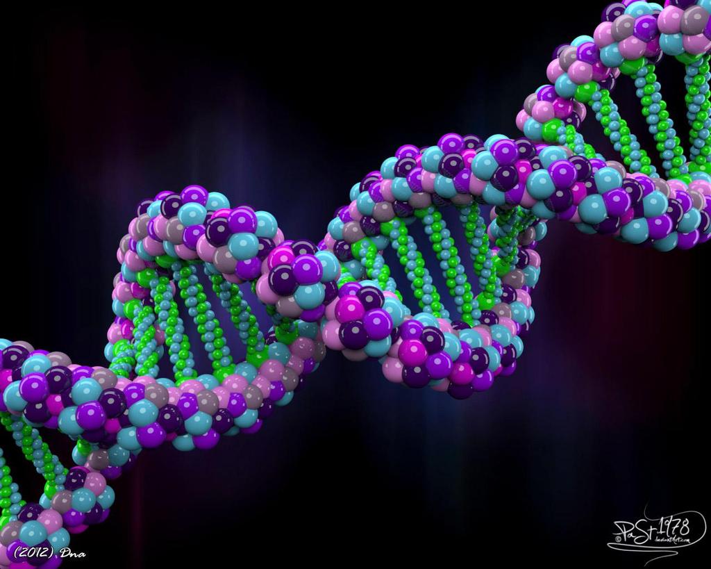 DNA: The Primary Source of Heritable Information Genetic