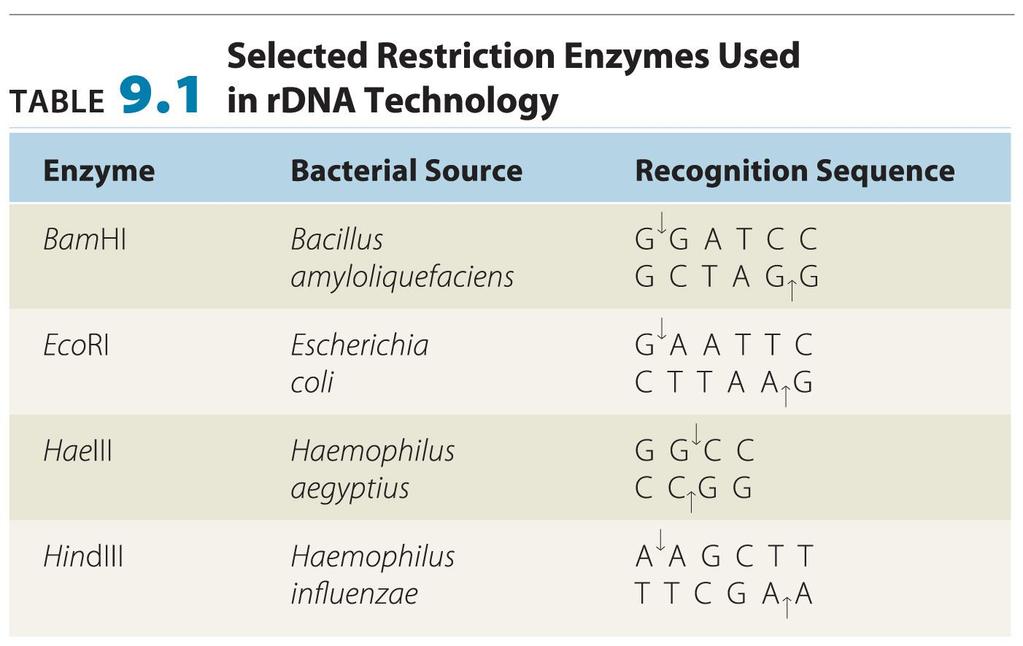 restriction endonucleases in vivo: defense system,