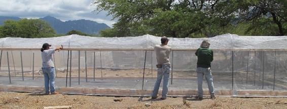 the use of screenhouses for small-scale vegetable crop producers.