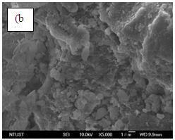 1 0.381 The SEM images of bentonite and bentonite - biochar composites are given in Figure-2.