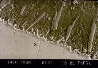 Rizov et al- Interaction of solid nickel with liquid mixture... 181 Figure 2. SEM micrograph of a sample Figure 3.