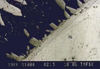 attained, which is a basic condition for the formation of the Al 3 Ni 2 layer. Figure 6. SEM micrograph of a sample Figure 7.
