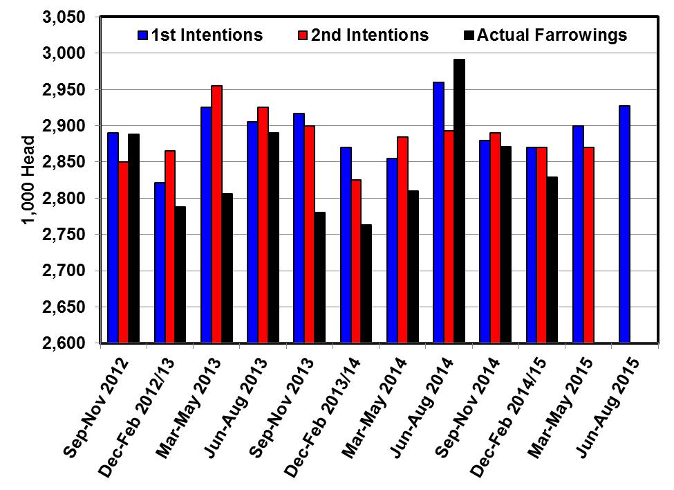 The number of sows farrowing during December-February was 2,829,000 head; below the first and second intentions for that quarter (figure 2).