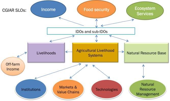 undertaken at the agricultural livelihood level with consideration of the interactions between livelihoods and the natural resource base, including off-farm income generation.