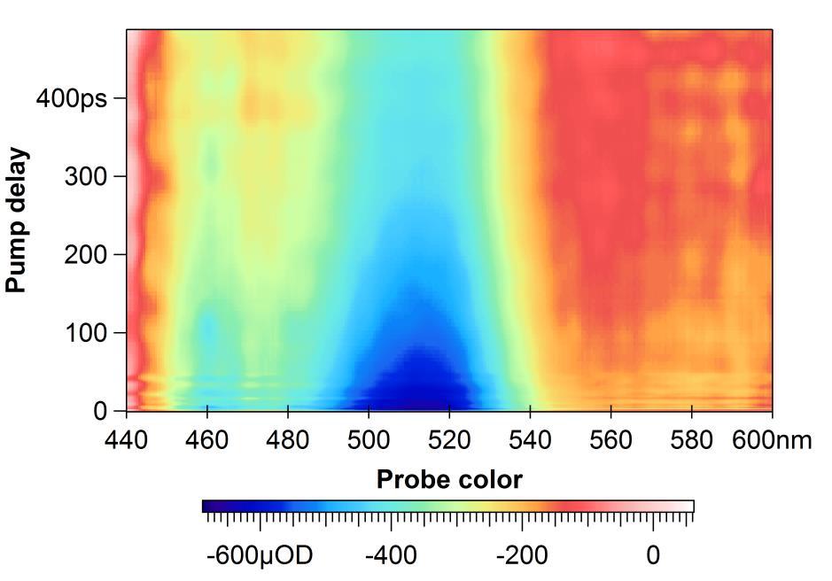 3. Results and discussion Transient absorption spectroscopy Absorption spectrum at different