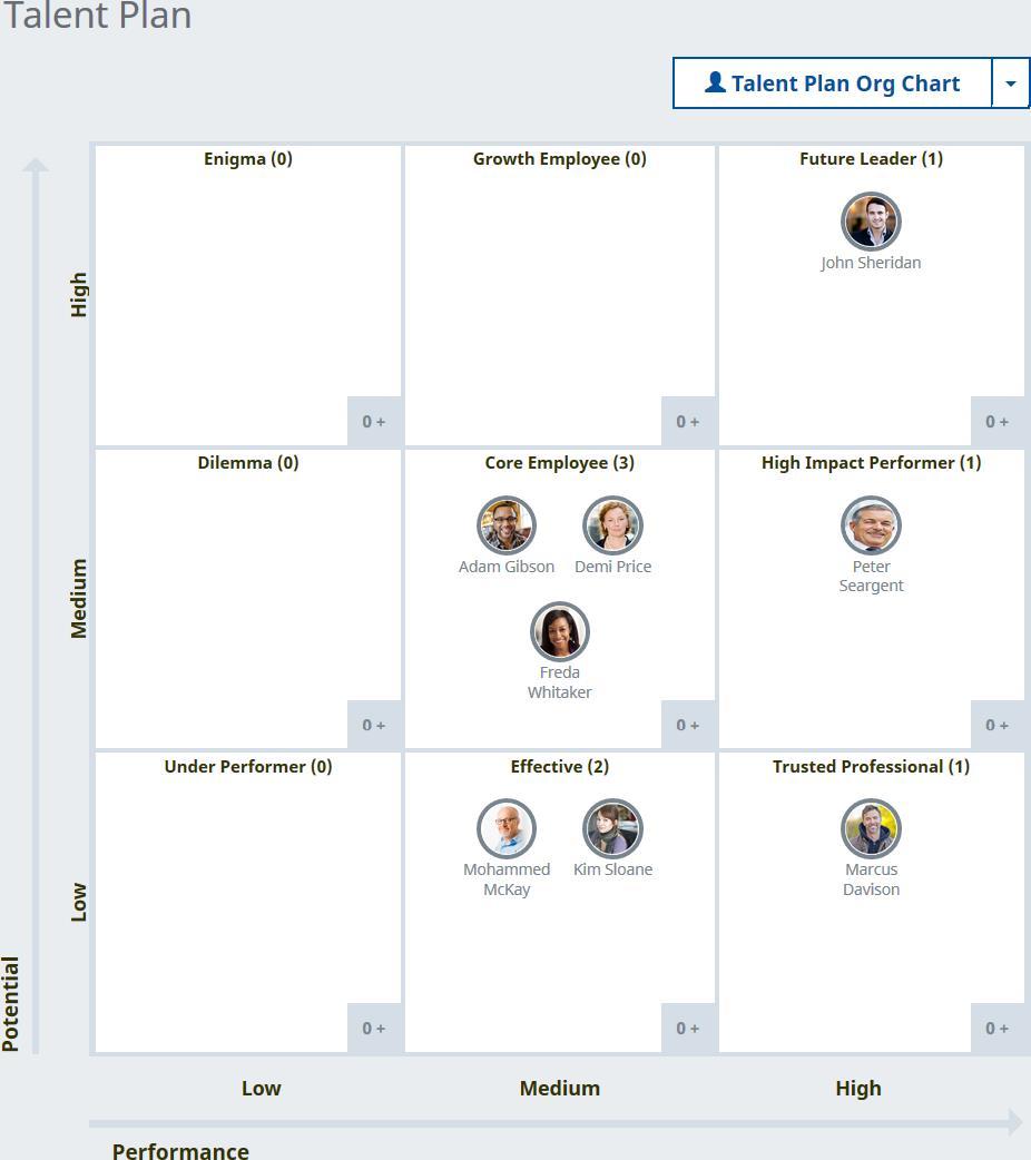 Talent Plan 9 Box Grid View Talent Plan 9 Box Grid View teams: When configured, WX enables you to