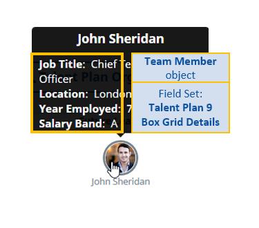 Talent Plan 9 Box Grid View Field Sets: Talent Plan Team Member Object Field Set Talent Plan 9 Box Grid Details Purpose Fields displayed on hover