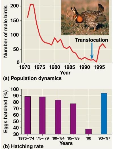 1. Describe the pattern in bird population over time: The population decreased (bottleneck) 2. Why did bird population decline in after 1970? Loss of habitat 3. Why was the hatch-rate in 1990 so low?