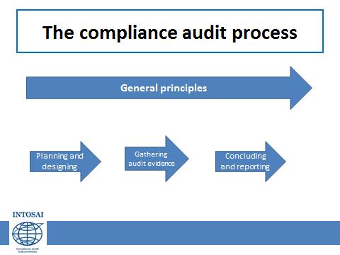 GENERAL REQUIREMENTS OF COMPLIANCE AUDITING Professional judgment and skepticism 25.