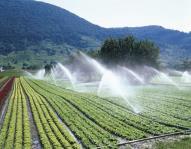 Irrigation is important to the economy of many countries. It helps to provide food for the people who live there.