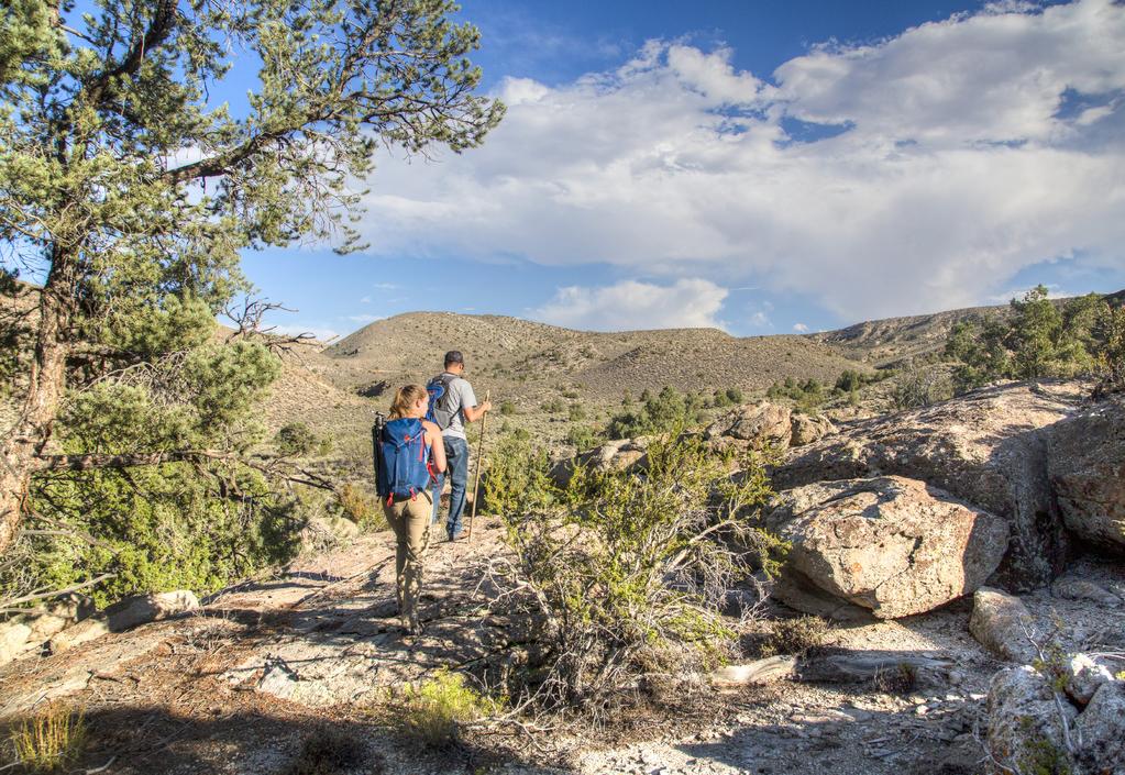 Photo: BLM Nevada Great Basin Landscape