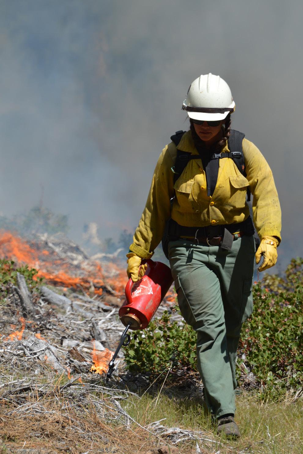 Rangeland Fire Prevention, Management and Restoration The Great Basin LCC has been heavily involved in efforts related to Secretarial Order 3336: Rangeland Fire Prevention, Management and Restoration.
