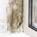 Consequences of a leaky home AIR SEALING = SAVING MONEY You can save up to 30% of your energy costs by air sealing multiple points of your home where energy losses occur.
