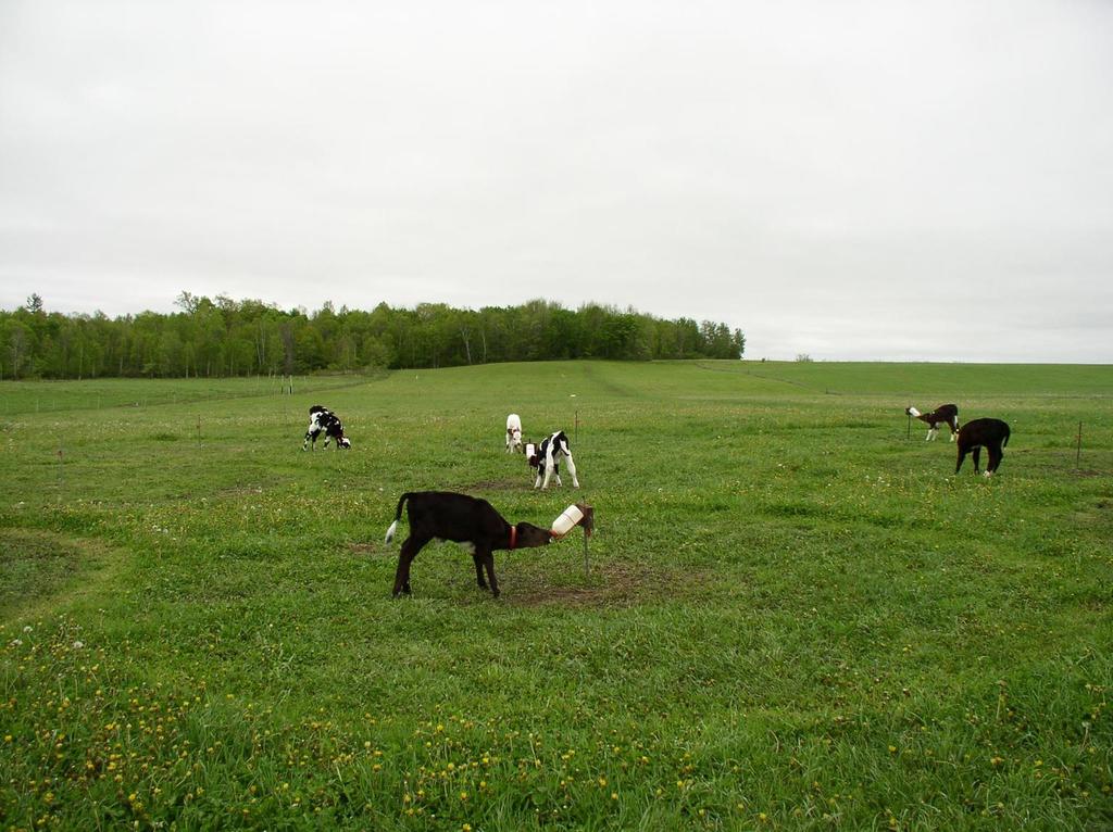 Basic Operation and Maintenance for Adaptively-Managed Grazing Paddock rest is