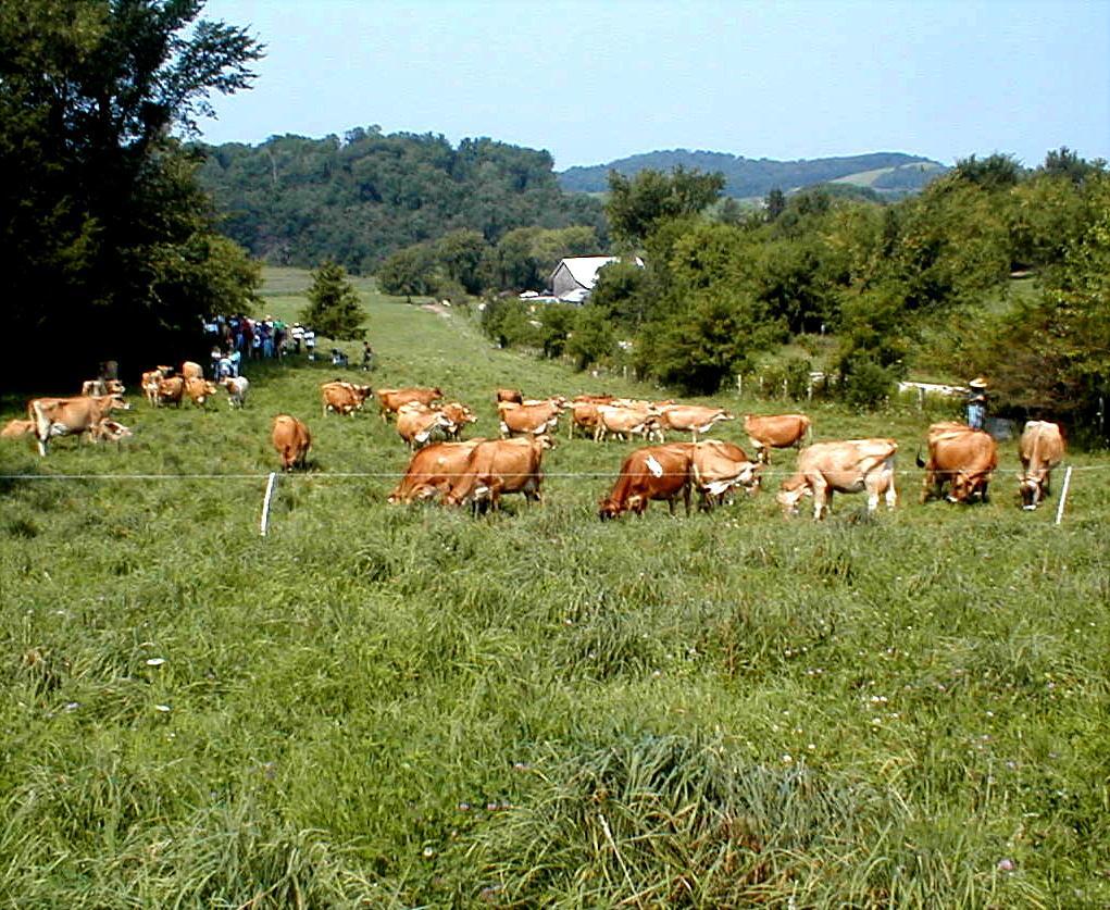 Well-managed grazing systems can be part of the solution Control Soil