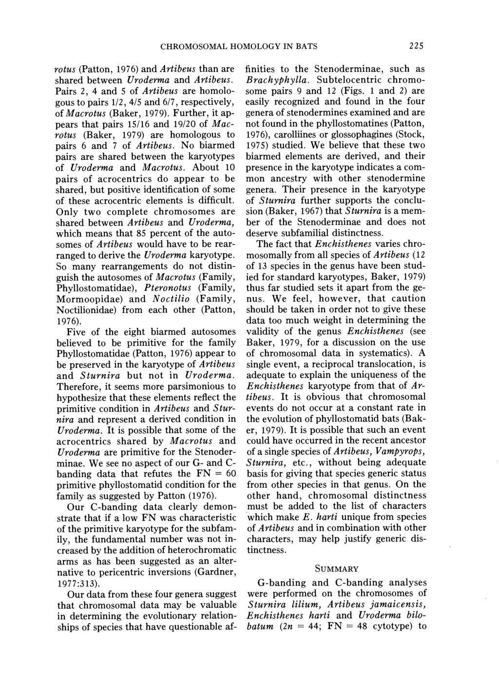 CHROMOSOMAL HOMOLOGY IN BATS 225 rotus (Patton, 1976) and Artibeus than are shared between Uroderma and Artibeus.