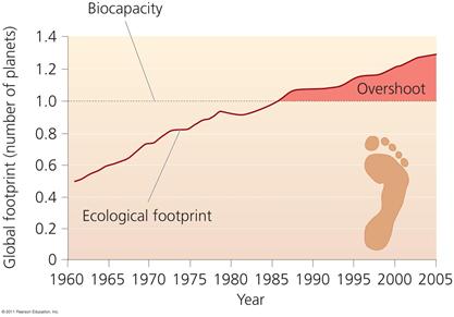 Overshoot Overshoot: humans have surpassed the Earth s capacity to support