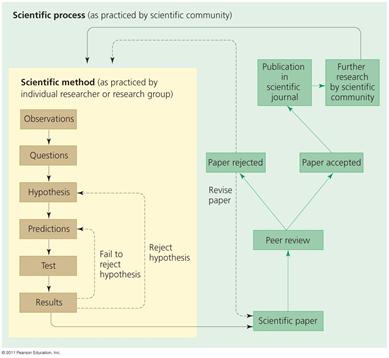 The scientific process is part of a larger process It guards against