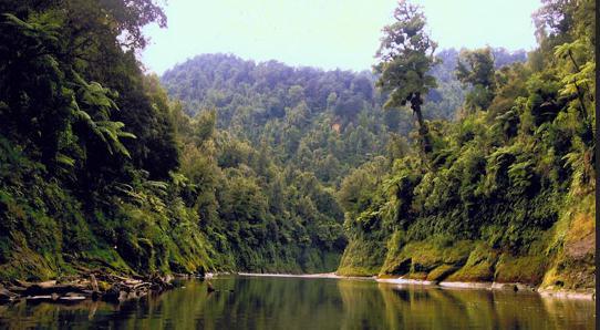 Whanganui River legal