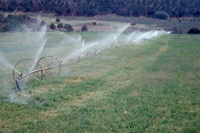 the early 1950s. About 40% of Utah s 1.3 million irrigated acres are watered with sprinklers, including hand move, wheel move, center pivot and other types.