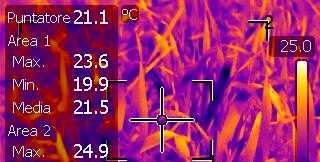 Thermal camera Midday canopy temperature (Tc) was remotely measured at plot scale by means of a thermal camera (mod.