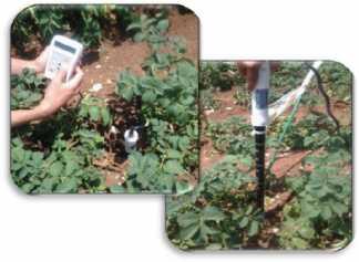Experimental measurements Soil water content measurements Amplitude Domain Reflectometry (Soil Moisture Profile Probe PR2/4, DeltaT Devices Ltd, UK): - Soil moisture at 4 depths down to 40 cm -