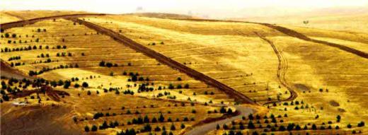 A. Introduction Historically, the Kurdistan Region has been the bread-basket of Iraq and favorable conditions make large parts of the Region ideal areas for agricultural production.