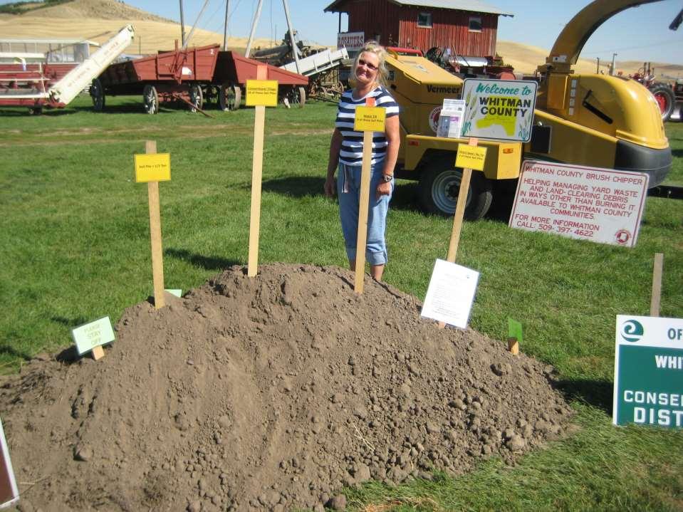 1/3 ton soil Conventional 18 x pile