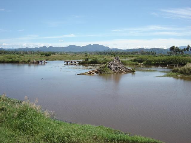 The debris comprises: trees and other plant material, part of the legacy of the tsunami non-vegetative material such as parts of bridges, houses and other structures silt, sand and other soil
