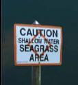 Current Mitigation Establish boating exclusion zones (FDEP) Not favored by boating lobby Can t put up regulatory signs