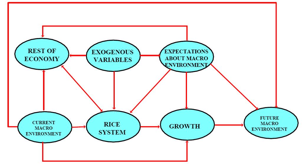 Figure 1: Conceptual framework for assessment of rice policies in Sierra Leone (after IFPRI, 1996) 3 The dynamics involved in the process of rice production, marketing and trade, and the impact of