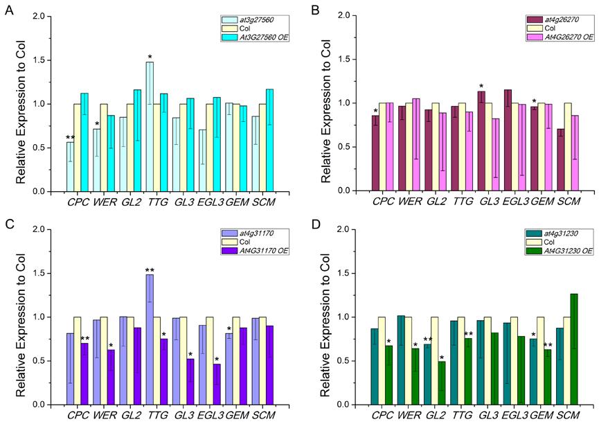 Supplemental Figure 7 Kinase genes affect expression of pattern genes in Arabidopsis root epidermis.