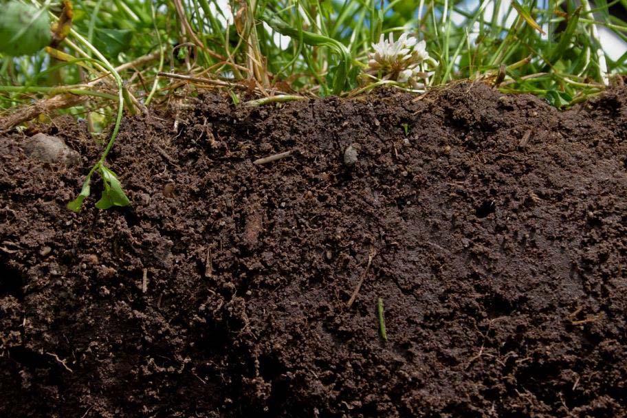 What is Soil Health?