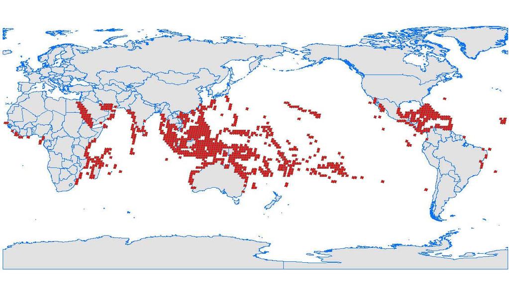 World Coral Reefs Distribution The Red Sea represents less than 0.