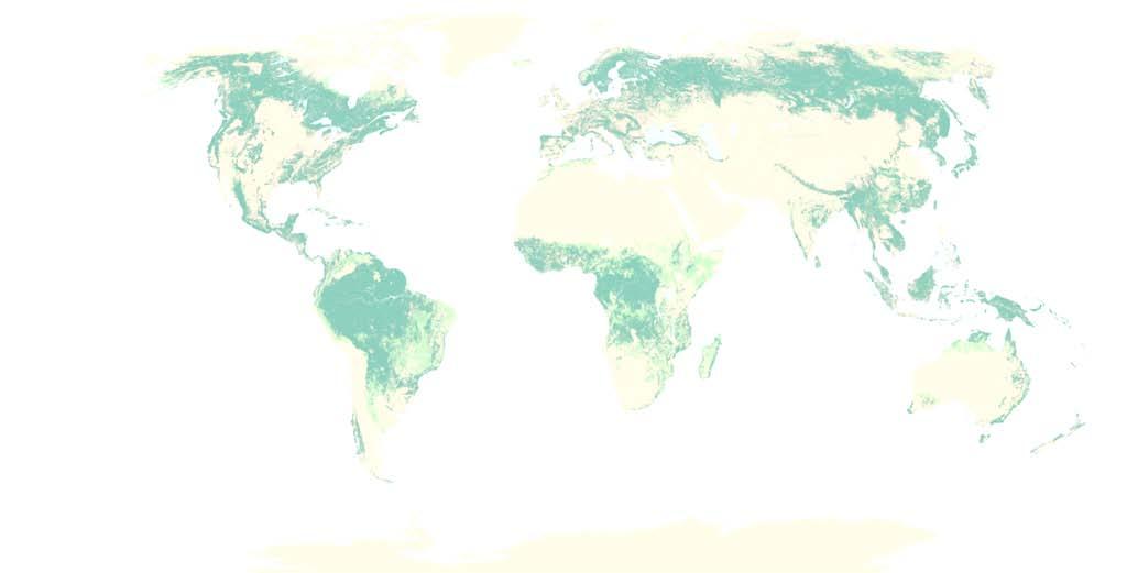 The world forest sink closes the global carbon cycle Yude Pan, Ricarhd Birdsey, Jingyun Fang, Richard Houghton, Pekka Kauppi, Werner A. Kurz, Oliver L.