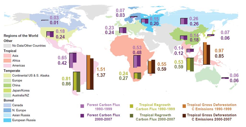 Carbon Sinks and Sources (Pg C yr -1 ) in