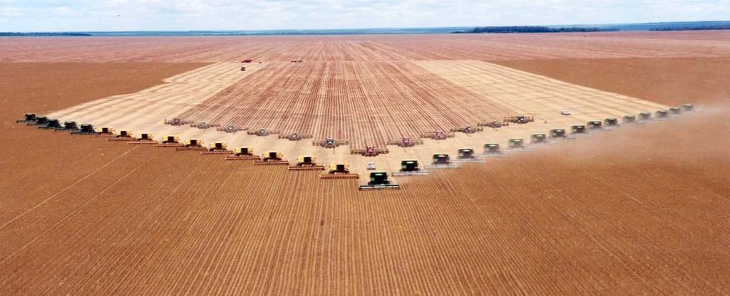 Land optimization: optimize grower ROA in a sustainable way creating different double cropping options Our goal: to plant short-cycle, have a good harvest,