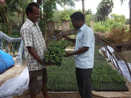 7 Lesson Learnt Details of spreading 8 success to other farmers or
