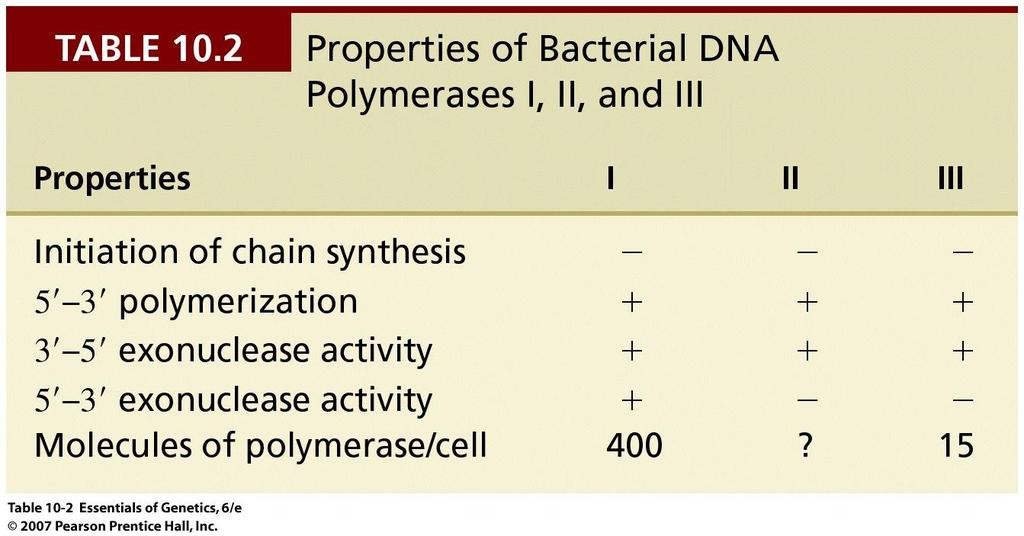Polymerase