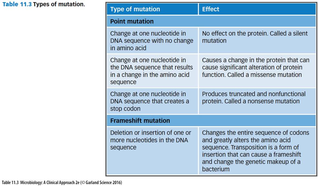 MUTATION & REPAIR OF DNA MUTATION & REPAIR OF DNA Spontaneous mutation rates are low Certain sections of the chromosome have a higher rate of spontaneous mutation These are called hot spots