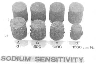 There is a strng indicatin that the sensitivity f the ckes t dirty butts additin (i.e. their sdium sensitivity) is different.