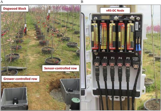 A 12-V DC latching solenoid was installed for each sensorcontrolled row and connected to the nr5 node (Fig. 3) to enable set-point irrigation based on 10HS soil moisture sensors (Decagon Devices).