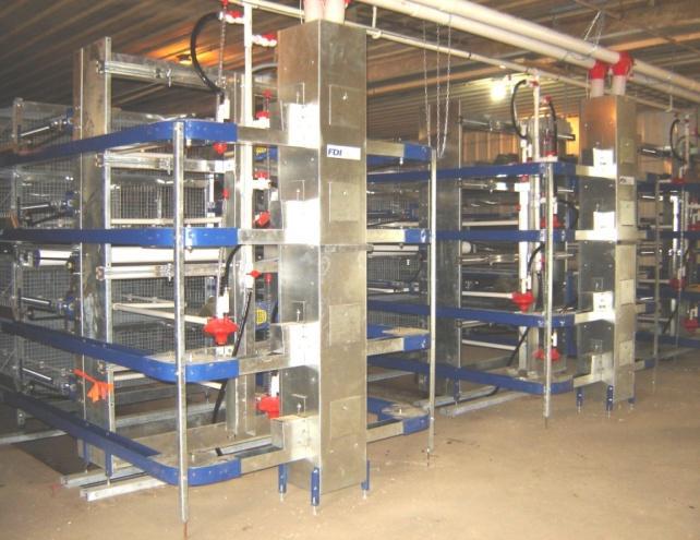 FDI Automatic chain feeding system FDI Pillar Feed Manifold one common manifold supplies all levels of feed trough with a feed recycling wheel on each tier The recycling wheel mixes uneaten feed with