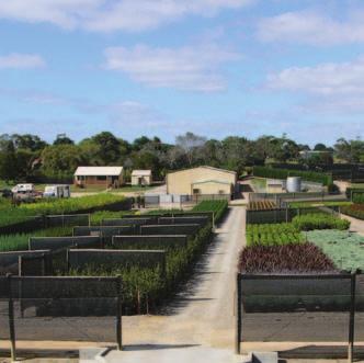 The nursery and garden industry provides significant economic, cultural, social and environmental benefits to the Australian community.